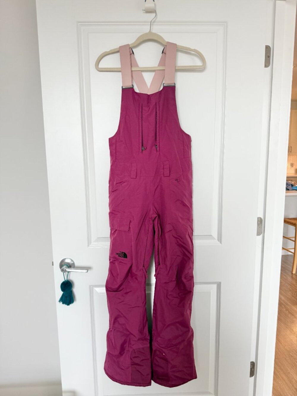 The North Face Overalls Snow Bibs Ski Pants - Pink Purple - Women's XS